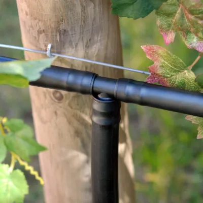 DB Tee Vines