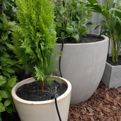 PotStream® in Pots