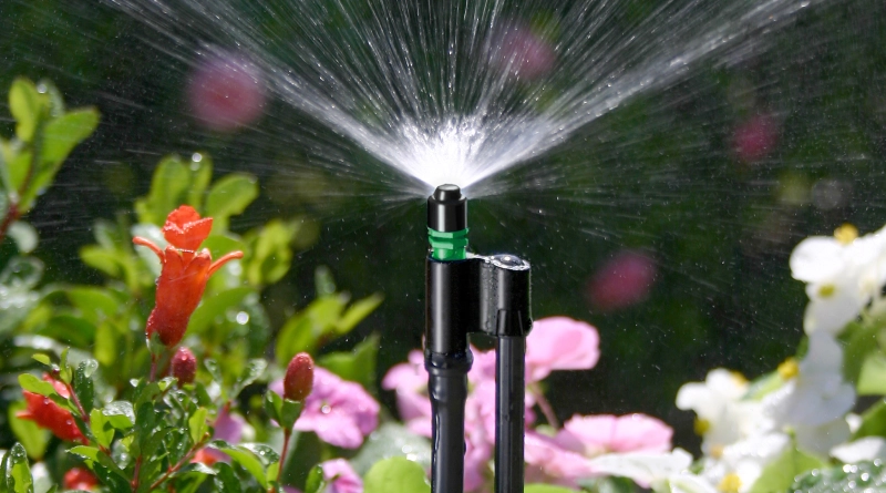 Micro Spray Stake Assembly