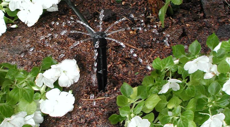 Shrubbler Spike in Garden