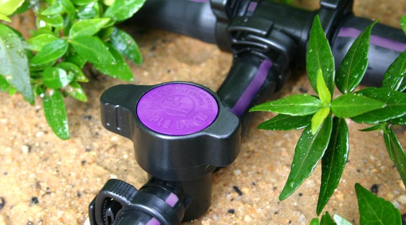 Purple Back® Valve