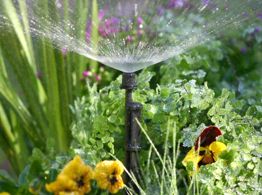 Spectrum™ 360° Adjustable Spray