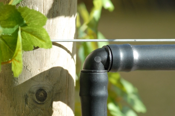 DB Elbow Vines
